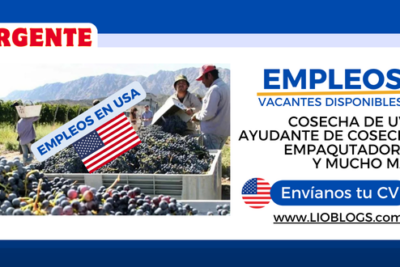 Empleos en la Cosecha de Uva en Estados Unidos: Oportunidades, Salarios y Cómo Encontrar Trabajo en Lioblogs.com