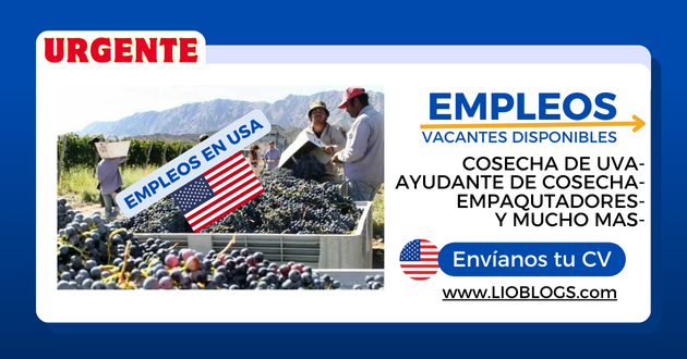 Empleos en la Cosecha de Uva en Estados Unidos: Oportunidades, Salarios y Cómo Encontrar Trabajo en Lioblogs.com